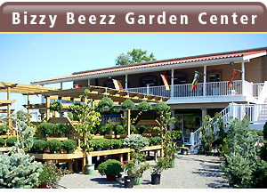 Bizzy Beezz All Seasons Garden